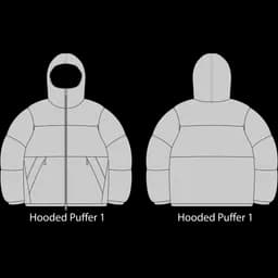Hooded Puffer 1