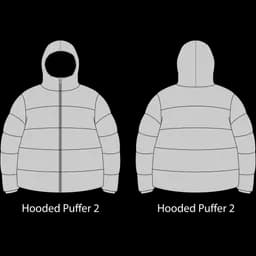 Hooded Puffer 2